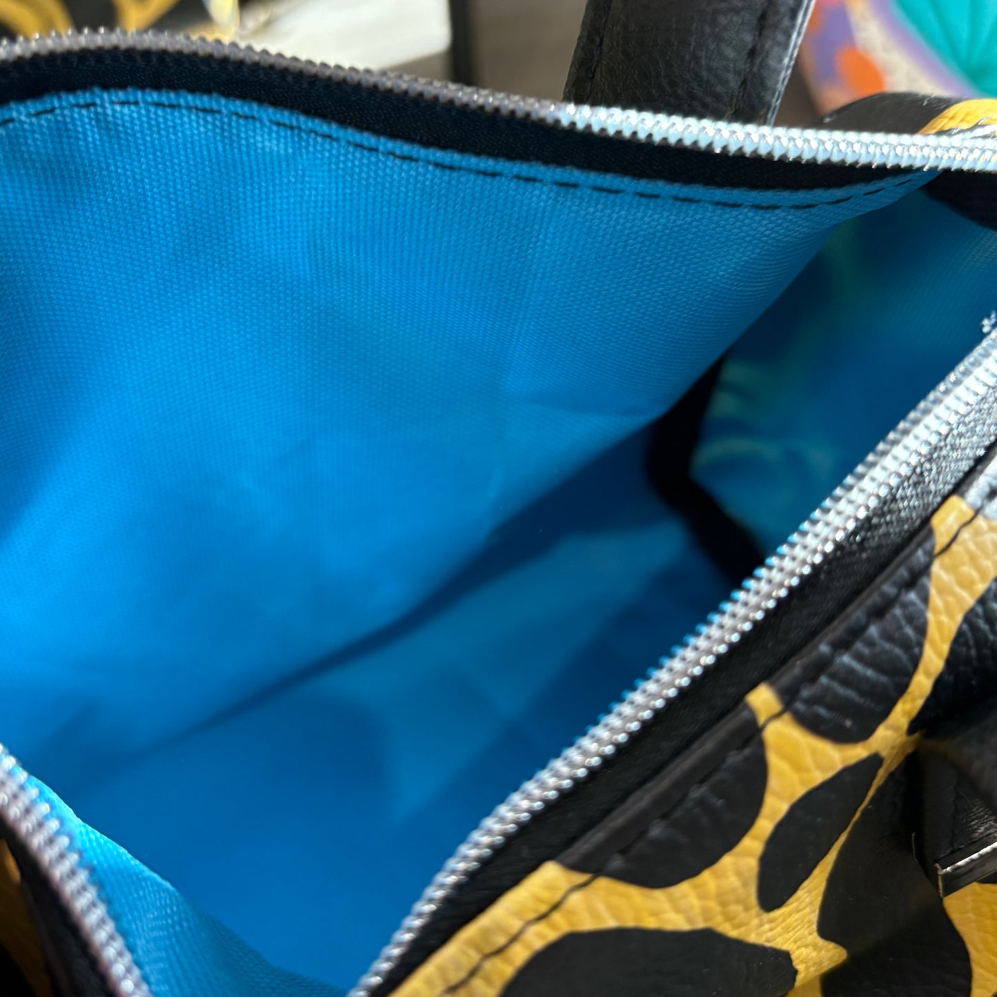 Y&B Animal MIDI Boston
