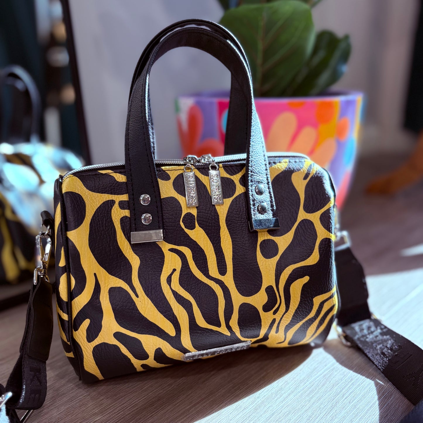 Y&B Animal MIDI Boston